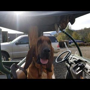 Meet your Posher, Joycelyn